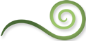 Centrum der Heilkunst Logo